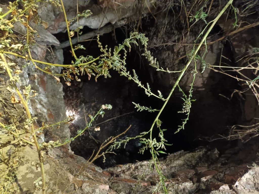 Мальчик с собакой упал в колодец в Гомельской области. Его спасли МЧС