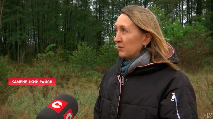 Жители одного из брестских домов забили тревогу. Бобры стали незваным соседями