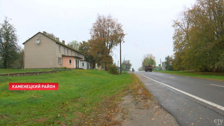 Жители одного из брестских домов забили тревогу. Бобры стали незваным соседями