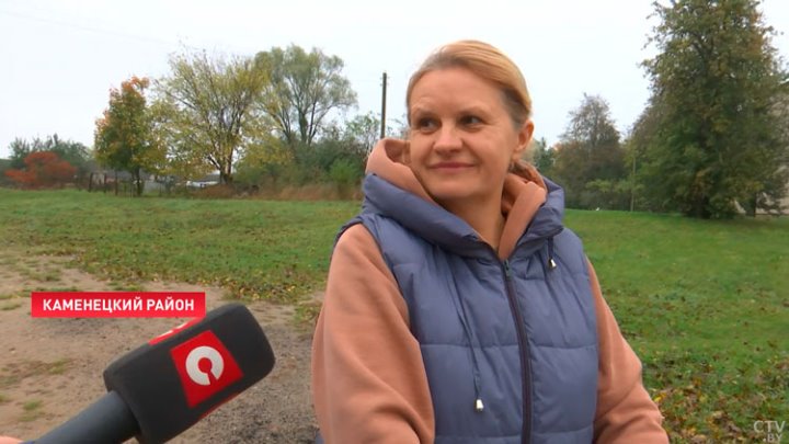 Жители одного из брестских домов забили тревогу. Бобры стали незваным соседями