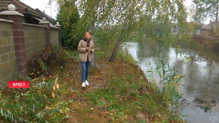 Жители одного из брестских домов забили тревогу. Бобры стали незваным соседями