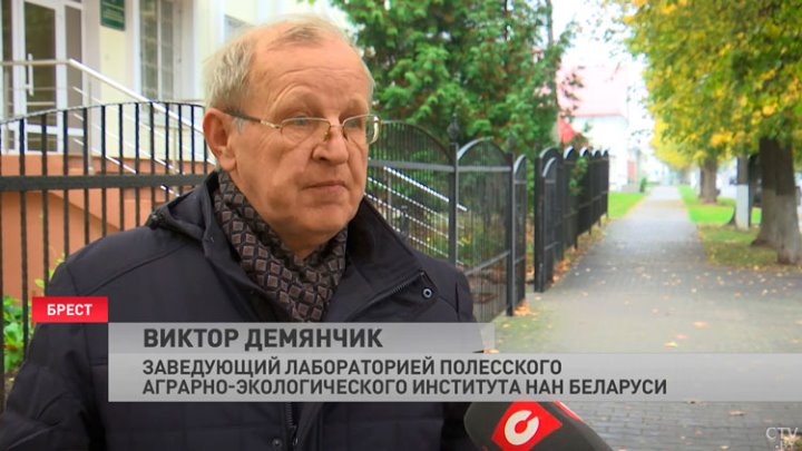 Жители одного из брестских домов забили тревогу. Бобры стали незваным соседями