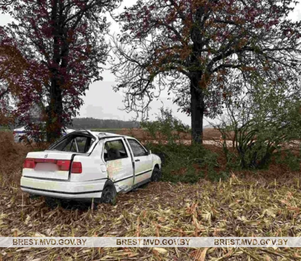 ДТП в Жабинковском районе: водитель не справился с управлением автомобиля и врезался в дерево