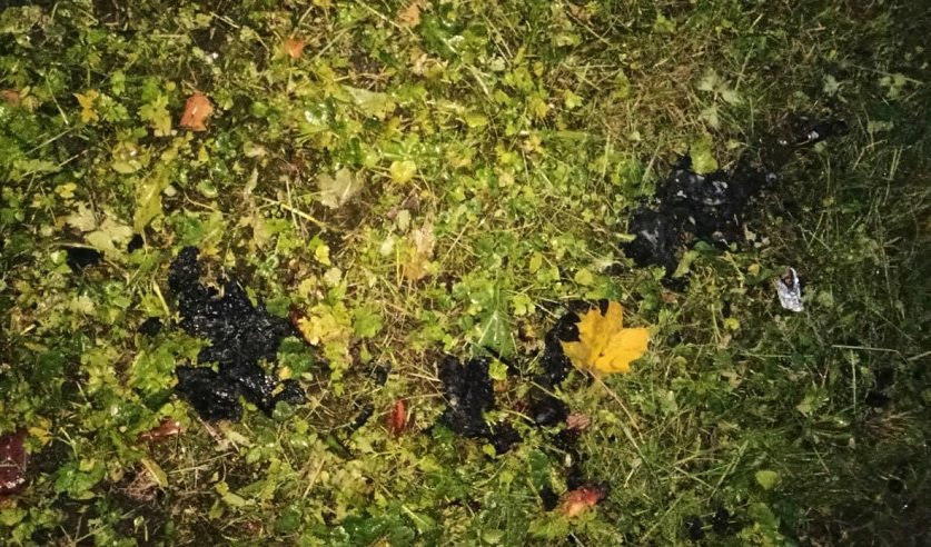 Избил, поджег, а после пытался закопать в погребе. Убийство с особой жестокостью произошло в Мстиславле