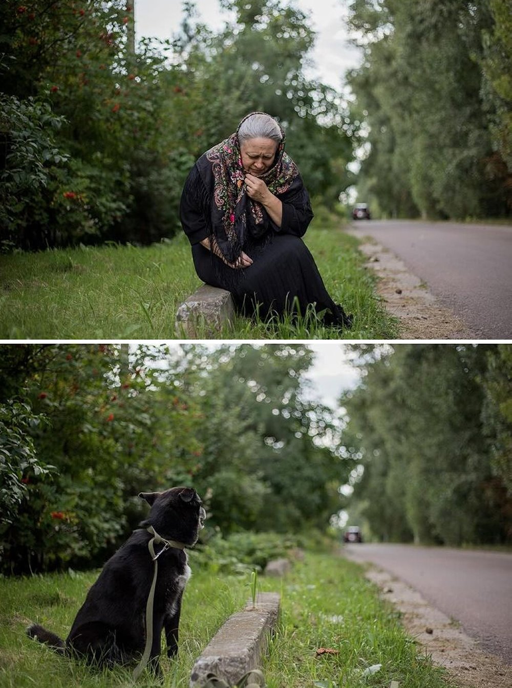 До слез. В Гомеле сняли фото о чувствах бездомных животных