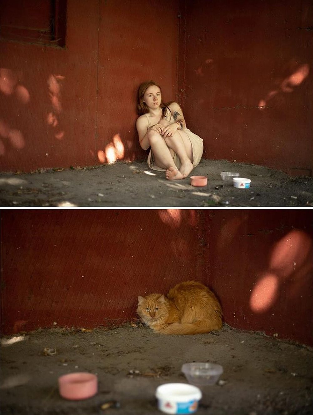 До слез. В Гомеле сняли фото о чувствах бездомных животных