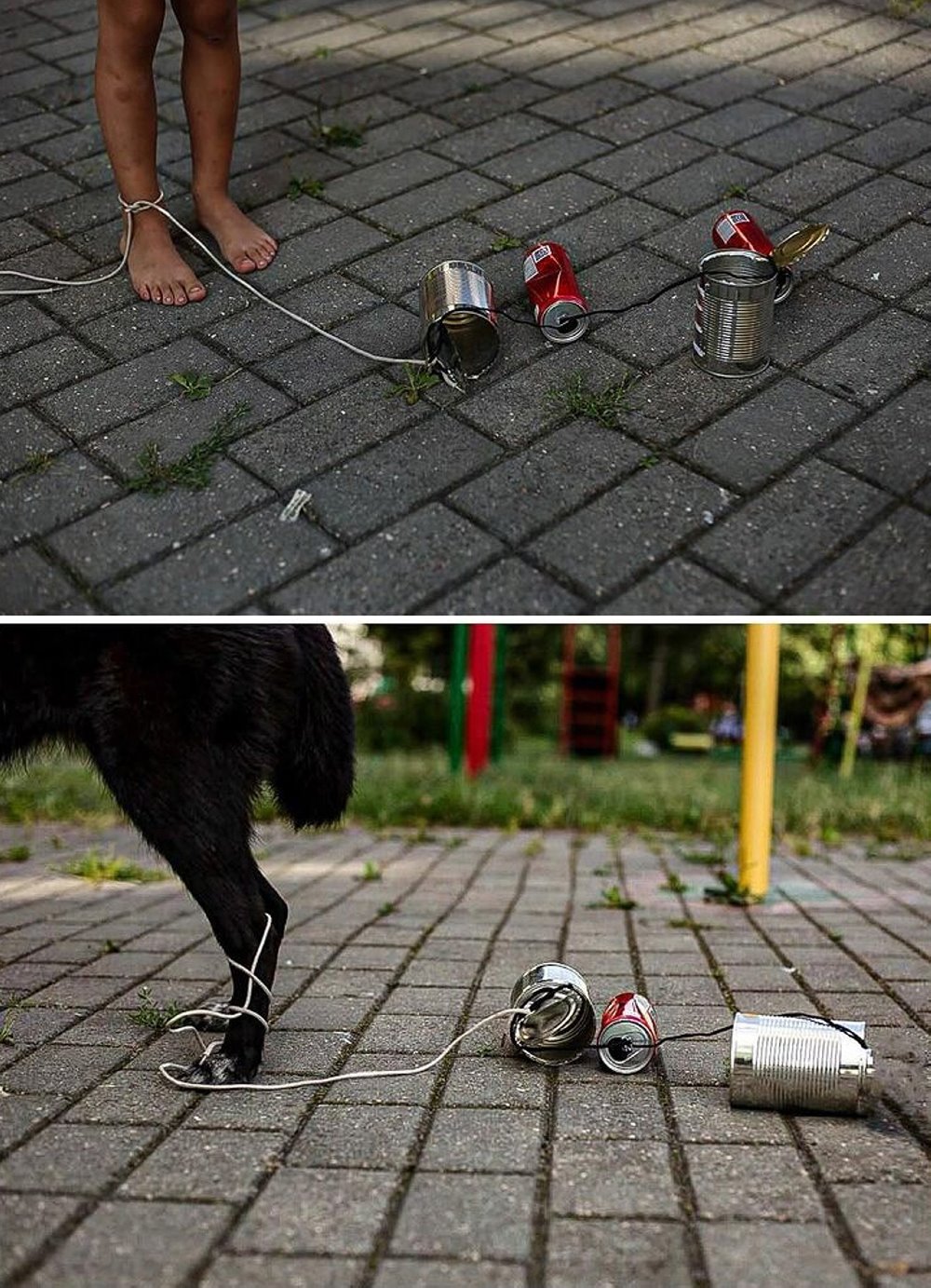 До слез. В Гомеле сняли фото о чувствах бездомных животных