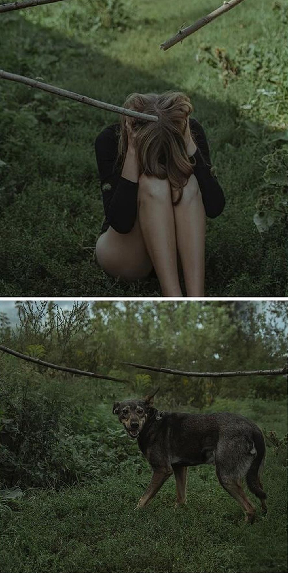 До слез. В Гомеле сняли фото о чувствах бездомных животных