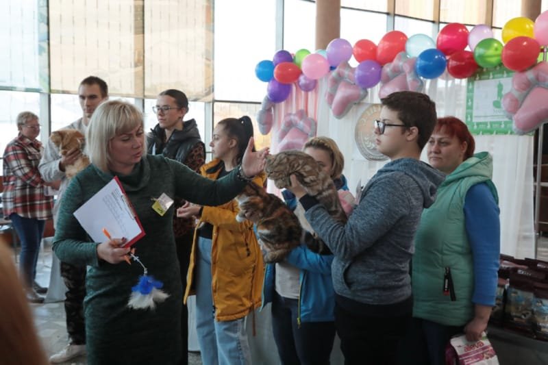 Выставка кошек в Бресте. Познакомился с бамбино, и кто такие полидакты?