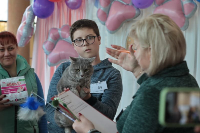 Выставка кошек в Бресте. Познакомился с бамбино, и кто такие полидакты?