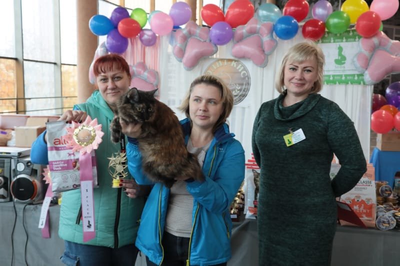 Выставка кошек в Бресте. Познакомился с бамбино, и кто такие полидакты?