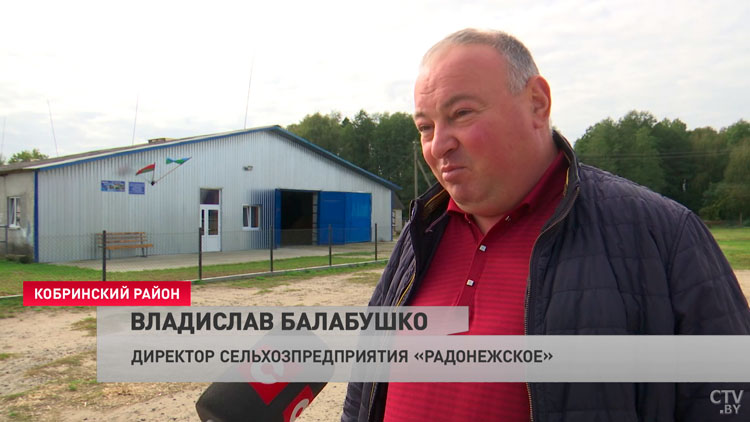 Верховая езда и основы конкура. Вот как проходит обучение конному спорту в Кобринском районе