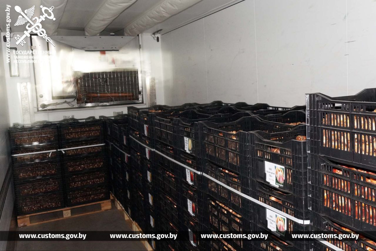 Брестские таможенники установили два факта незаконного ввоза в Беларусь луковиц тюльпанов