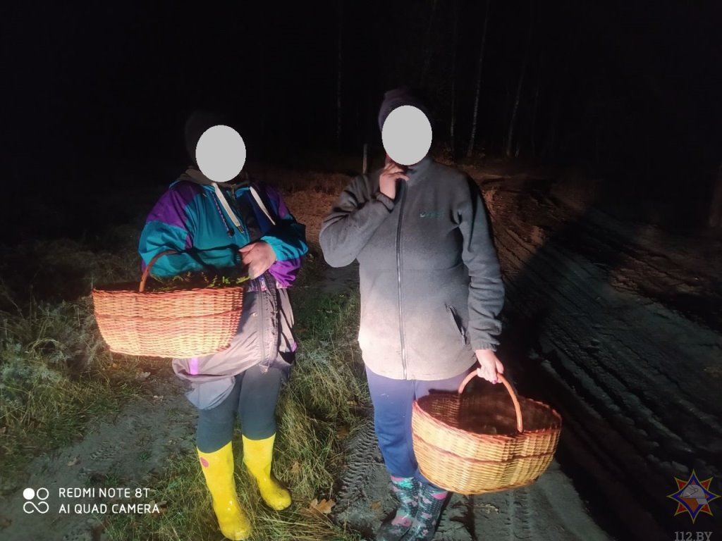 В Брестском районе нашли двух женщин, потерявшихся при сборе грибов 