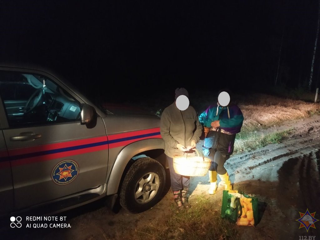 В Брестском районе нашли двух женщин, потерявшихся при сборе грибов 