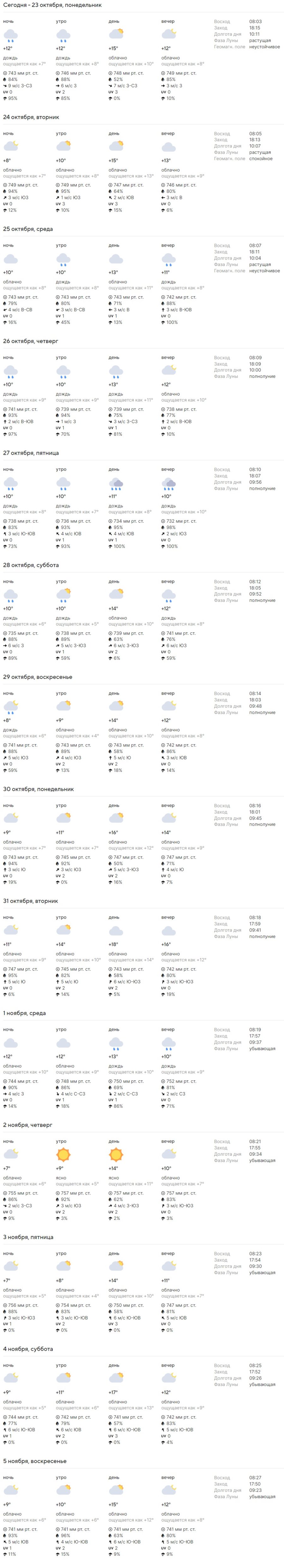Какая погода ждет жителей Бреста на предстоящей неделе