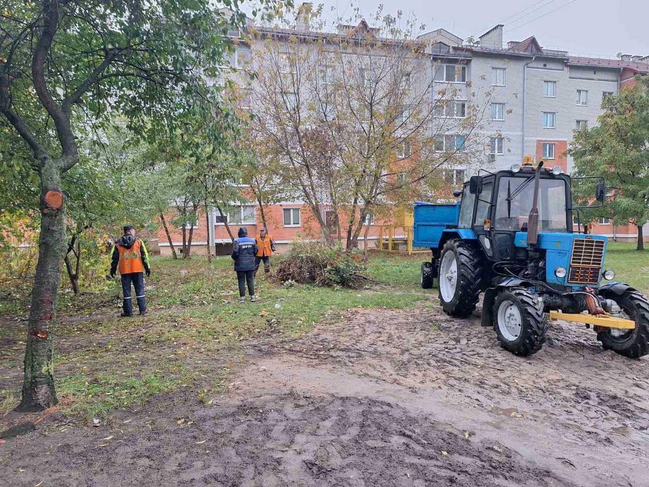 Участники «Марафона чистоты» навели порядок на Дубровке в Бресте