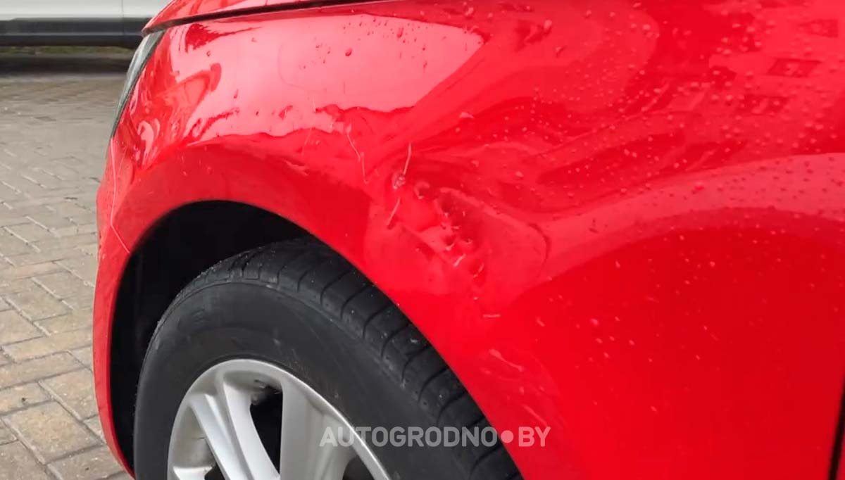 Собаки погрызли автомобиль девушки из Гродно