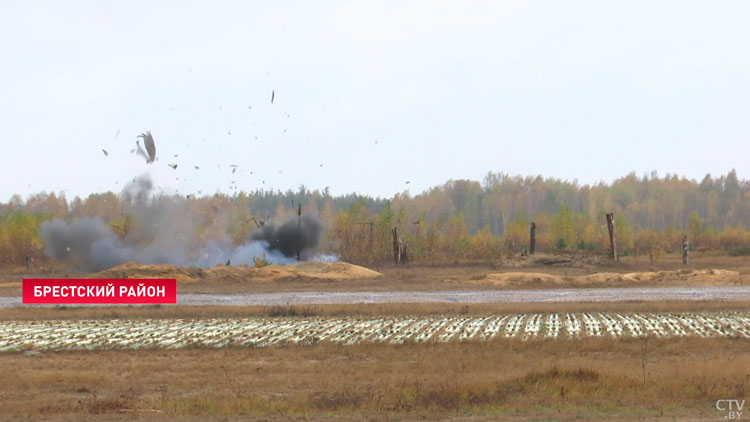 Специалисты комитета судебных экспертиз изучили взрывы разной мощности на полигоне под Брестом