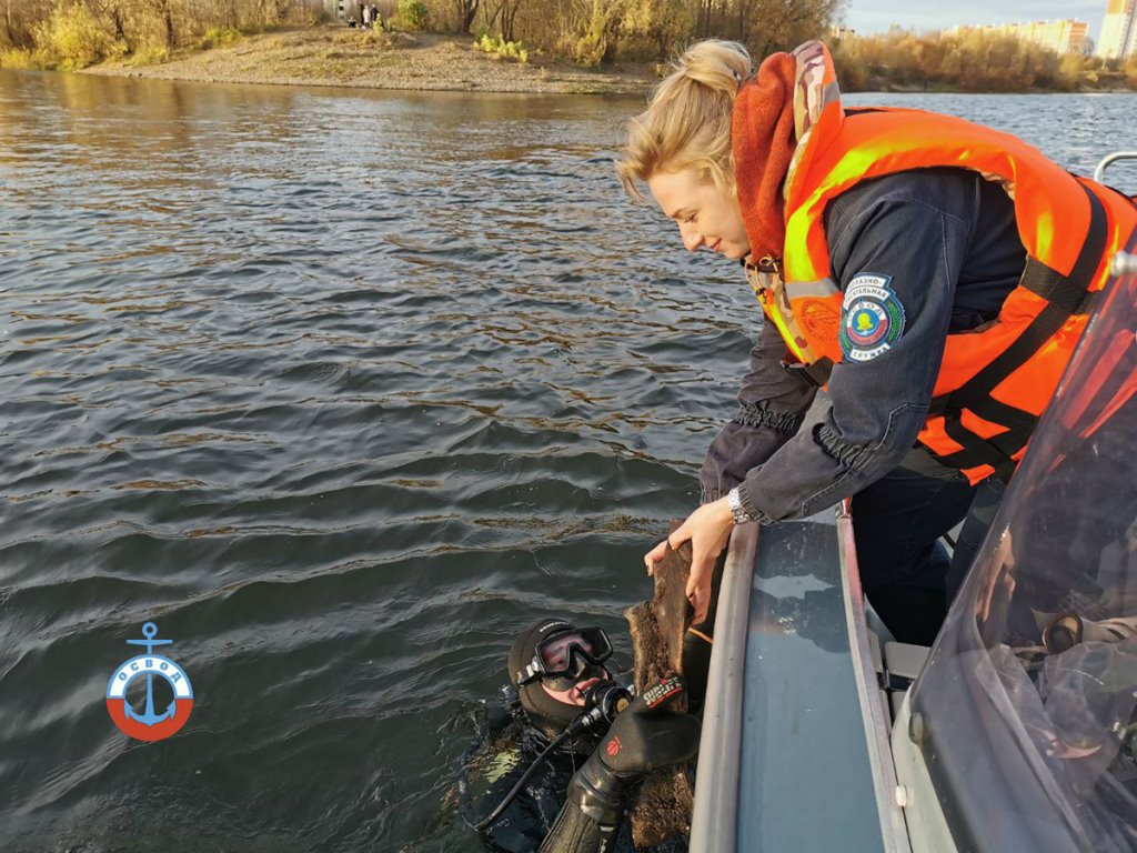 В Гомеле водолазы ОСВОД нашли кости бизона