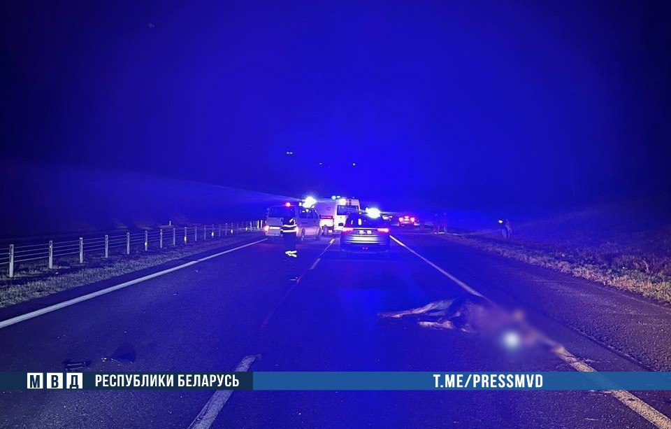 Жуткое ДТП в Минском районе: наезд на дикое животное - погибли водитель и ребенок  