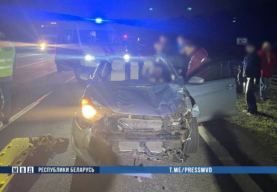 Жуткое ДТП в Минском районе: наезд на дикое животное - погибли водитель и ребенок  