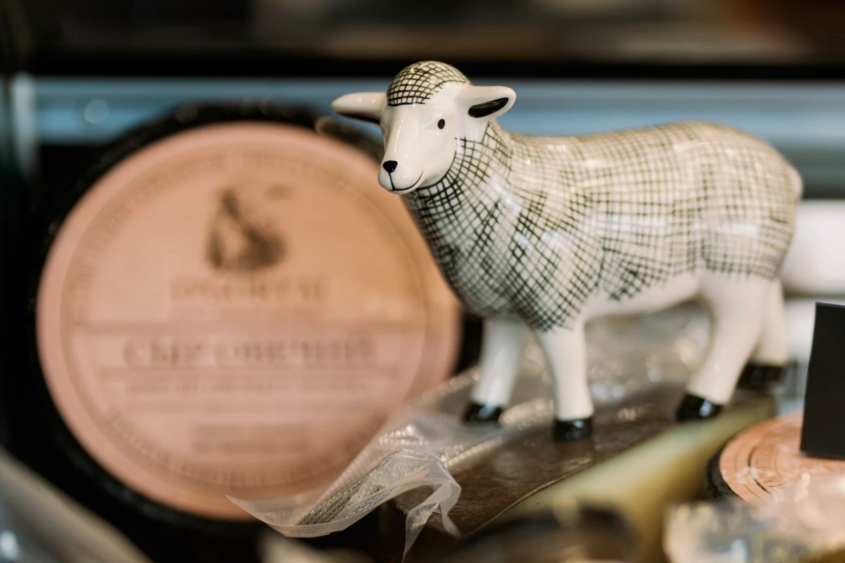 Как подобрать сыр к вину? Подскажут профессионалы магазина «Cheese & Wine» в Бресте.