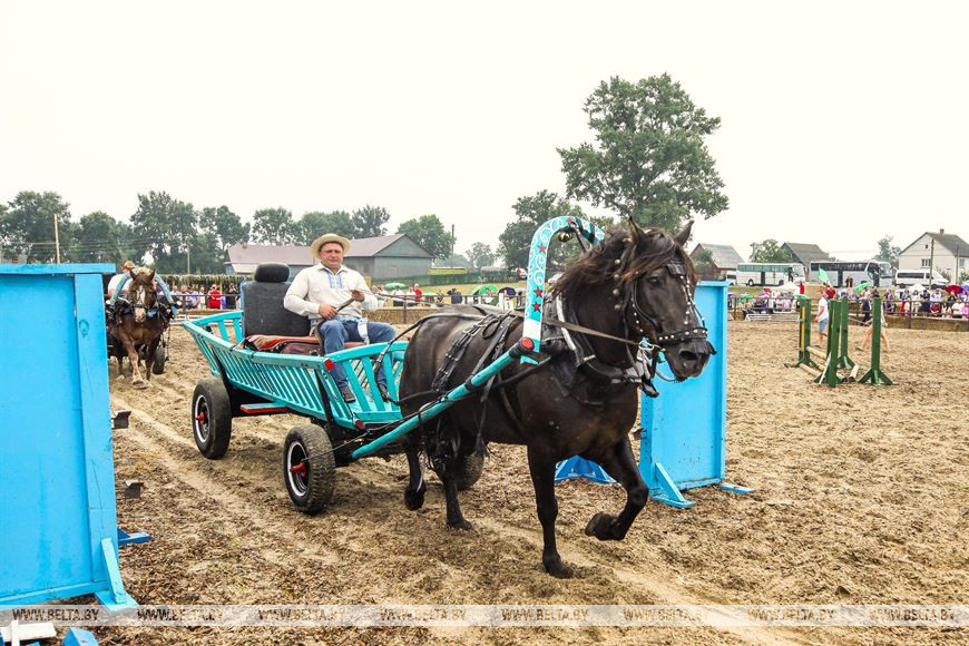 От конефермы к конному парку: в глубинке Полесья восстанавливают национальные породы лошадей