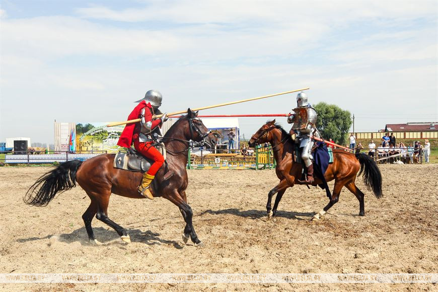 От конефермы к конному парку: в глубинке Полесья восстанавливают национальные породы лошадей