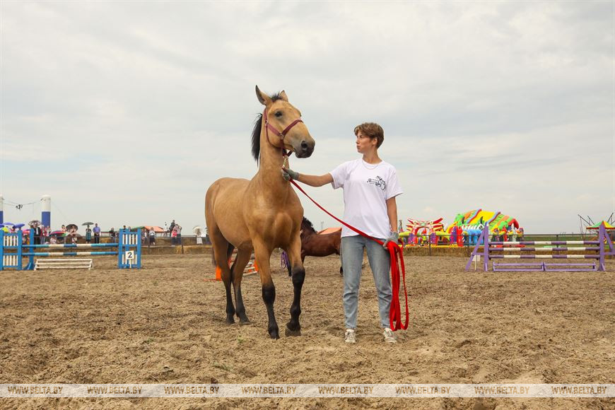 От конефермы к конному парку: в глубинке Полесья восстанавливают национальные породы лошадей