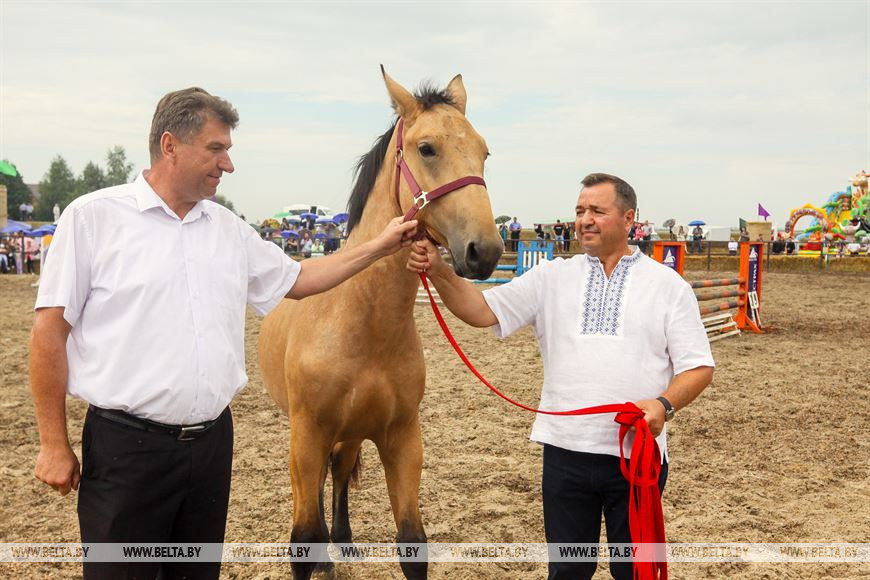 От конефермы к конному парку: в глубинке Полесья восстанавливают национальные породы лошадей