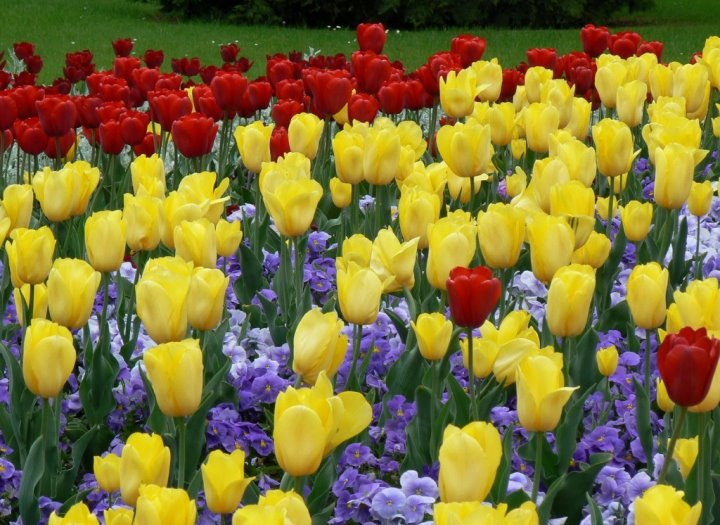 Более полумиллиона рублей на озеленение незаконно получило предприятие ЖКХ в Брестской области