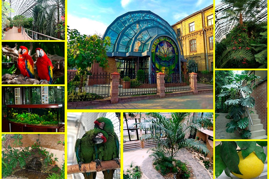 Что посмотреть в Бресте: топ-10 достопримечательностей