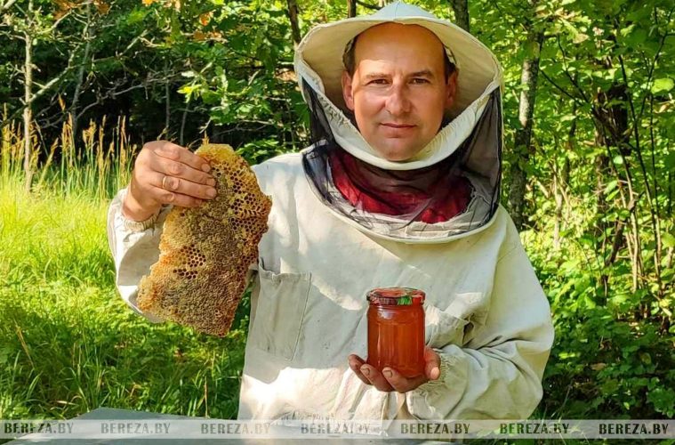 Как добывают жидкое золото природы, рассказал пчеловод из Брестской области