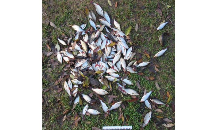 Белорус незаконно нарыбачил почти на 4400 рублей