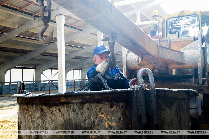 Крупный молочно-товарный комплекс строят в Жабинковском районе