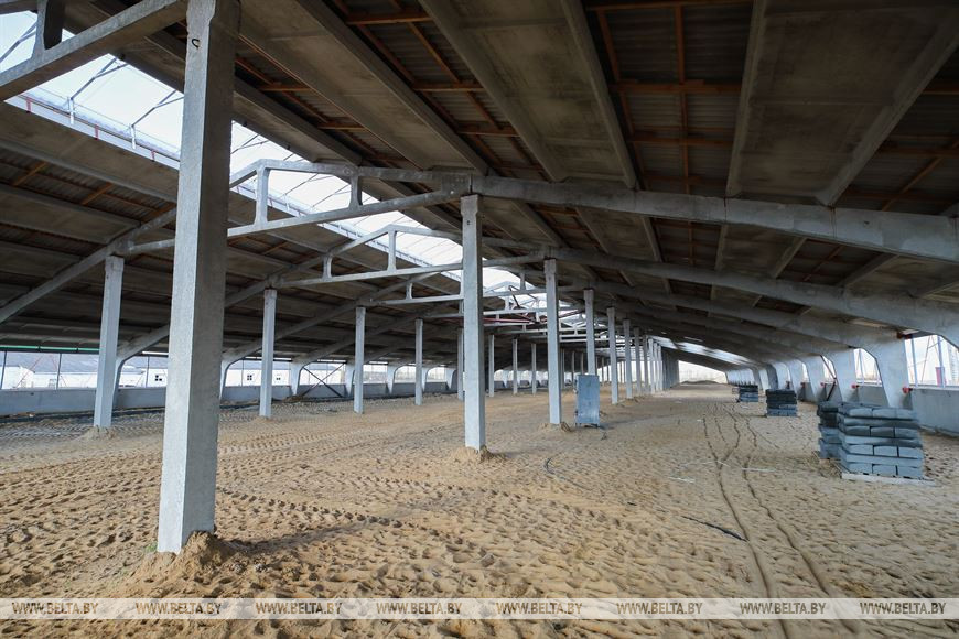 Крупный молочно-товарный комплекс строят в Жабинковском районе