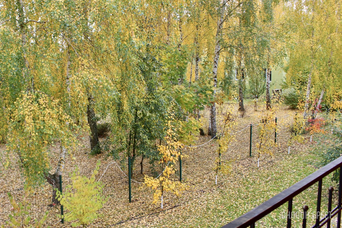 Запланируйте семейный отдых на антуражной вилле с бассейном и рестораном недалеко от Бреста. Аренда номеров, празднование торжеств в Villa Boutique Hotel