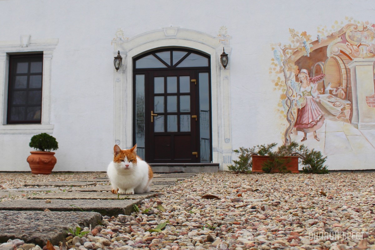 Запланируйте семейный отдых на антуражной вилле с бассейном и рестораном недалеко от Бреста. Аренда номеров, празднование торжеств в Villa Boutique Hotel