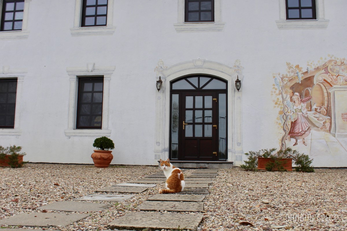 Запланируйте семейный отдых на антуражной вилле с бассейном и рестораном недалеко от Бреста. Аренда номеров, празднование торжеств в Villa Boutique Hotel