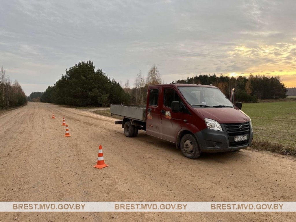 ДТП недалеко от Бреста:  71-летняя велосипедистка попала под колеса автомобиля