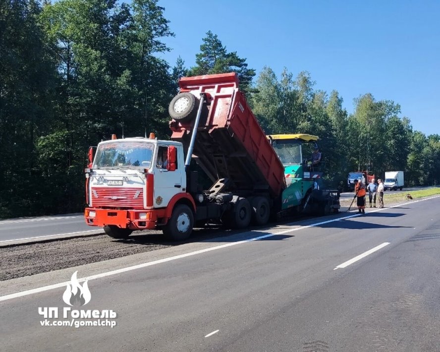 На трассе М6 будет такая же система? В Беларуси тестируют интеллектуальный переход для диких животных