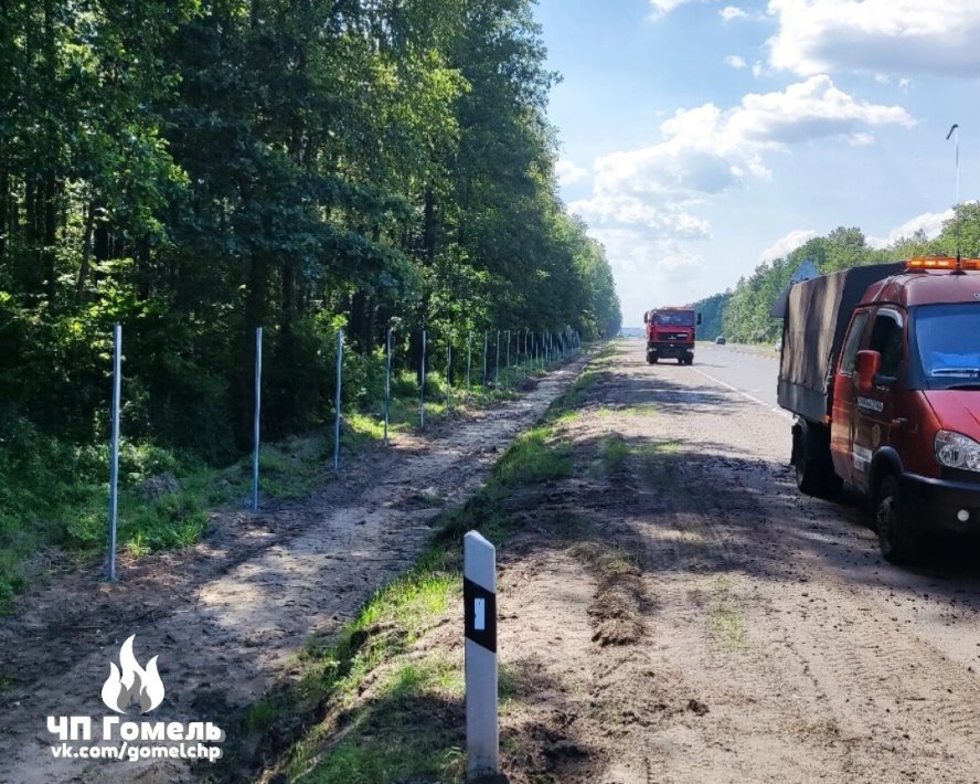 На трассе М6 будет такая же система? В Беларуси тестируют интеллектуальный переход для диких животных