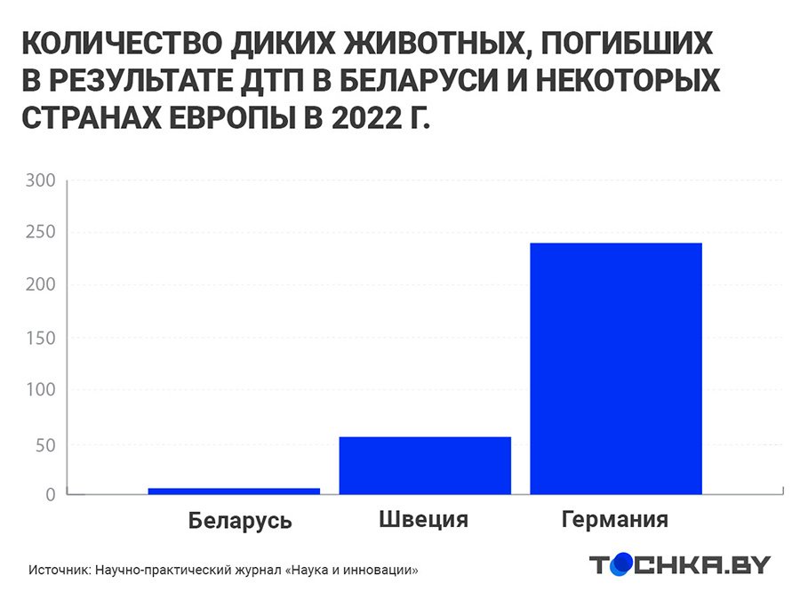 ДТП с дикими животными в Беларуси: на каких дорогах и когда случаются