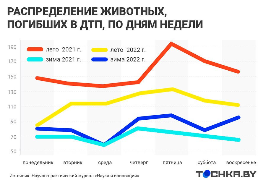 ДТП с дикими животными в Беларуси: на каких дорогах и когда случаются