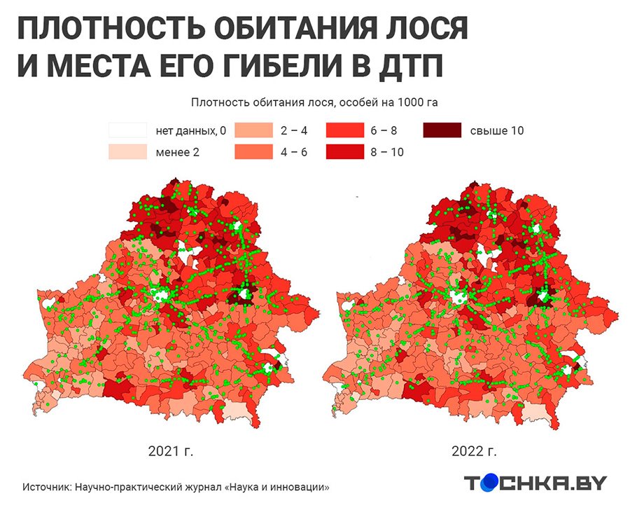 ДТП с дикими животными в Беларуси: на каких дорогах и когда случаются