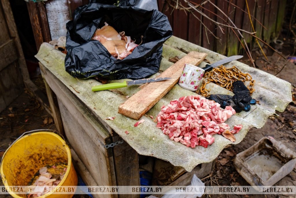 Заложники ситуации: 47 собак стали причиной конфликта между жителями Кабаков (Березовский район)