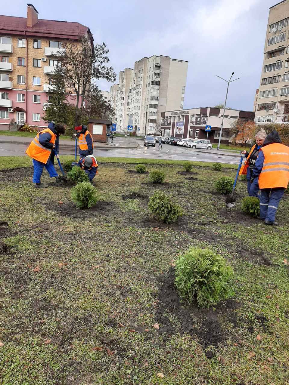 Осеннее озеленение Бреста