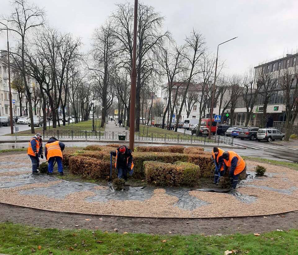 Осеннее озеленение Бреста