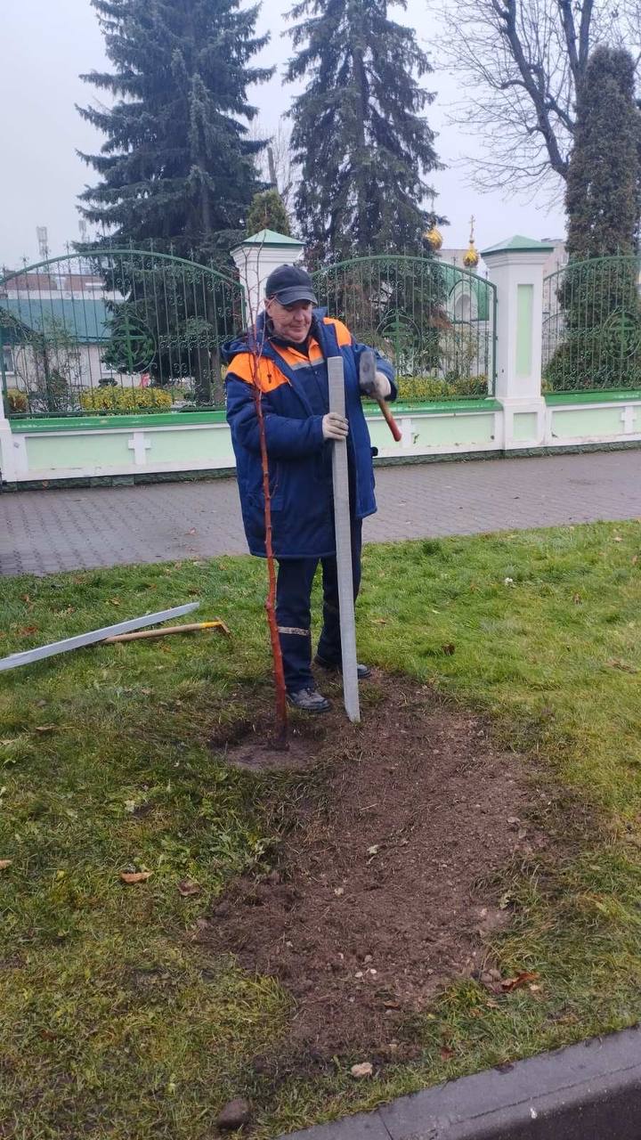 Осеннее озеленение Бреста